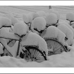O tom, jak mé čínské spolužáky prekvapil první sníh...