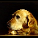  druhá moje nejmilejší " Blondýnka"