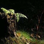 <big><i>Kde bydlí Křemílek s Vochomůrkou ...</i></big>