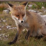 tak date mi uz nekdo najest, nebo co bude,...