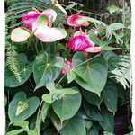 Návštěva ve Fata Morganě