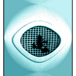 eye