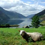 Rozloučení s fjordy