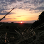 Klasika od "úchyla" s papouškem