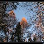 Pohled(nice) do nebe