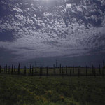 Moonlight lights