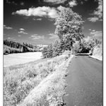 Hřebečský hřbet 02