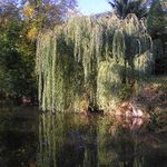 Na břehu Svitavy II.