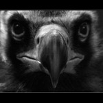  <b>MÁŠ PROBLÉM ? ? ? <HR></b><b>