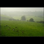 Svítání u Battice II.