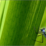 □□□ some wallpaper