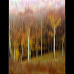 sivecká impresia II