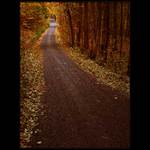 <u>***CESTA_MÁ***</u><b>