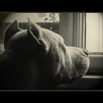 <b>.:: pořád prší :( ::.</b><br>