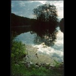 Milotický rybník VIII.