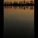 Šťastnou cestu, Bongo