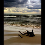 Pařez..jaký to poetický název :)