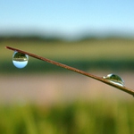 <b>ATOVIŽ AKPAK</b>