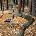 Taky jsem chtěl být lavičkou