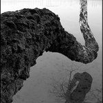 čo ma drží nad vodou ?