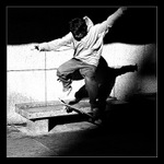 Blázni na kolečkách IV