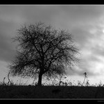 <B>.Jesen je tu.</B>