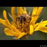 ... a máme hotovo ...