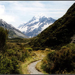 Mt Cook