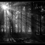 <b>...ranní paprsky...</b>