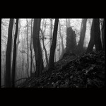 Pivoňská zastavení III