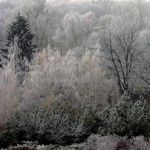 ...místy mrznoucí mlhy...