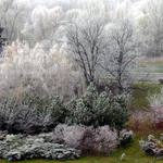 ...místy mrznoucí mlhy...2.pokus