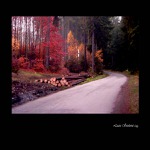 podzimní procházka