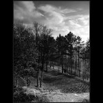 ..:: Podzim bez barev ::..