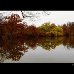 Velká krása malých věcí