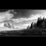 ..:: vÝhledovÁ ::..