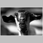 Asi bych s tím pitím měl přestat...