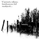 Hledání bambusové hole I