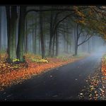 Odkud přicestuje zima ?