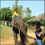 Tak kolik má těch dolarů ???