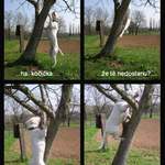 Na kočičkách..... :o))