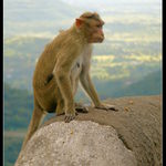 Pohled z dálky do dálky