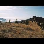 Inverzia