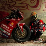 ...born to be wild...