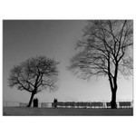 <b> ...JAK DÁL???<hr></b>(...mlčící krajiny...)<br><b>
