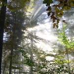 Svetlo v raji (slovenskom)