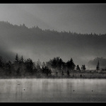 Mlha všude kolem nás...