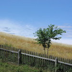 detva moja maľovaná