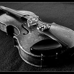 stradivari
