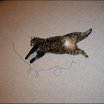 Trudy si hraje s provázkem